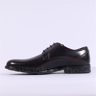 Dubarry Men Dasher Laced Dress Shoe - Burgundy